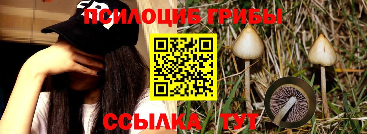 Галлюциногенные грибы Magic Shrooms Коркино