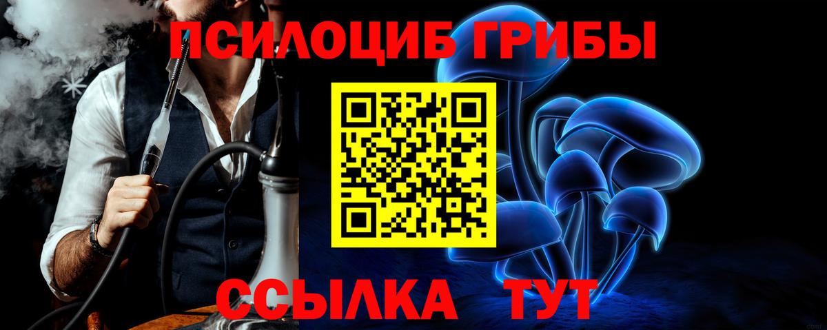 Псилоцибиновые грибы Cubensis  Вход с VPN  Коркино 
